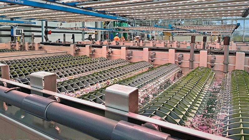 Algae-based photo bioreactor system installation 