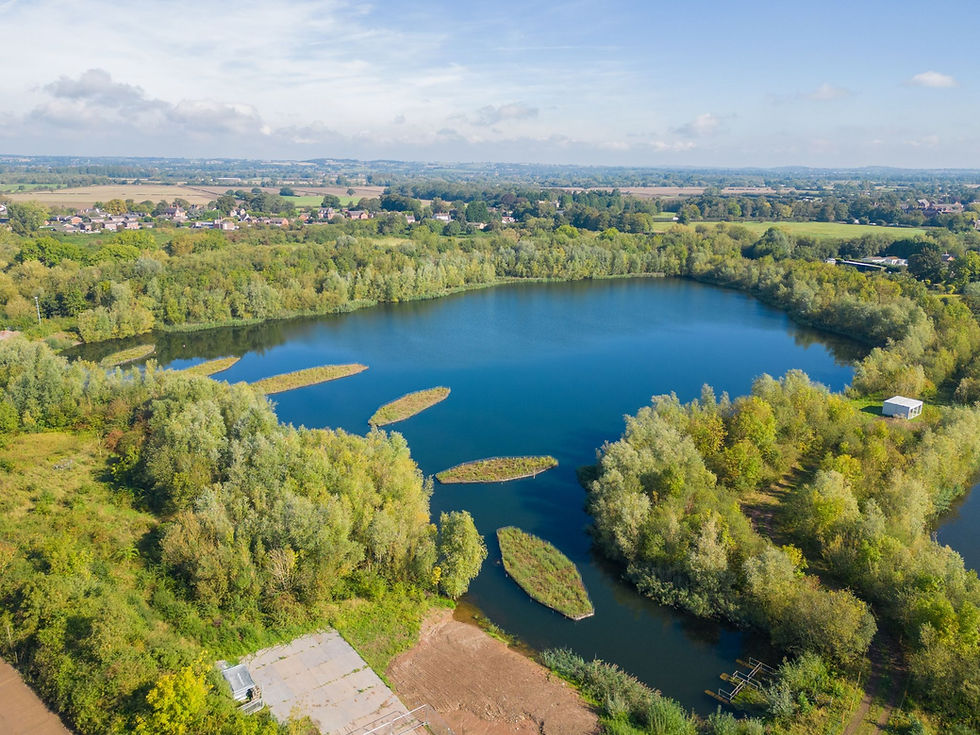 Nature-based solutions
