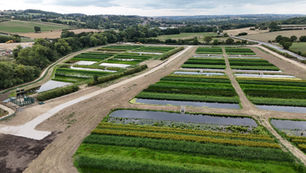 Mott MacDonald Bentley wins highly competitive award for pioneering nature-based project