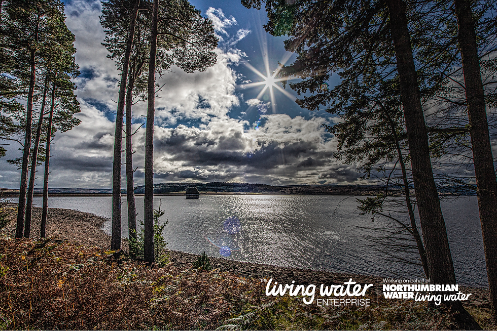 Kielder Water in the North East of England in sunshine