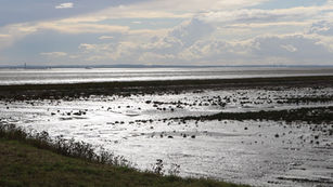 Flagship environmental project, designed and built by JBA Bentley, celebrates official opening