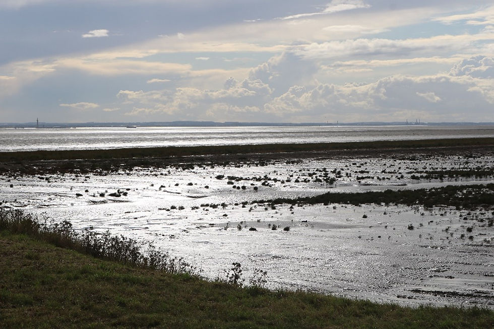 Saltmarsh and mudflats