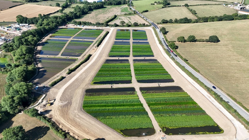 Aerial photograph showing thirteen adjacent wetland cells with plants