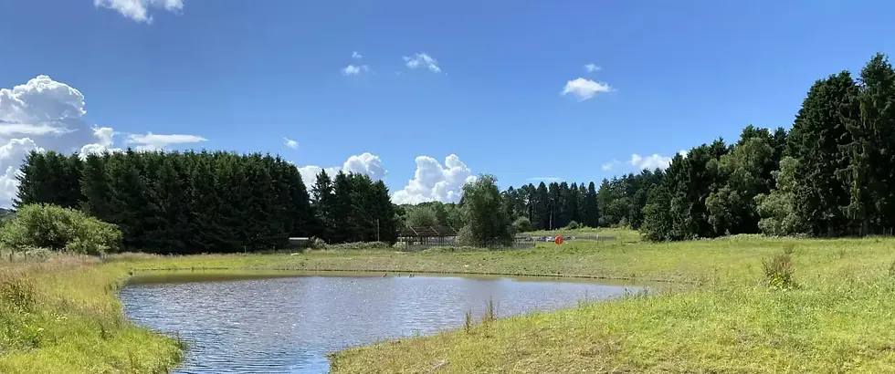 Improving the Surroundings